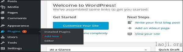 WordPress 插件定制 WordPress 插件定制