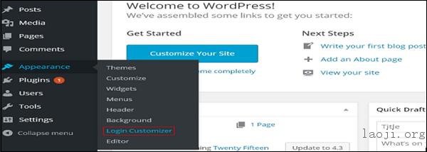 WordPress 插件定制
